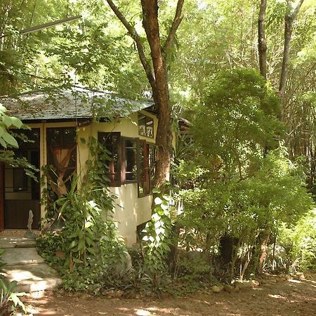 Momchailai Forest Retreat Kanchanaburi Eksteriør billede